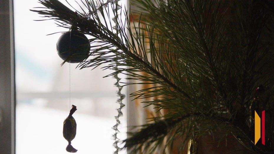 Как утилизировать елку после новогодних праздников