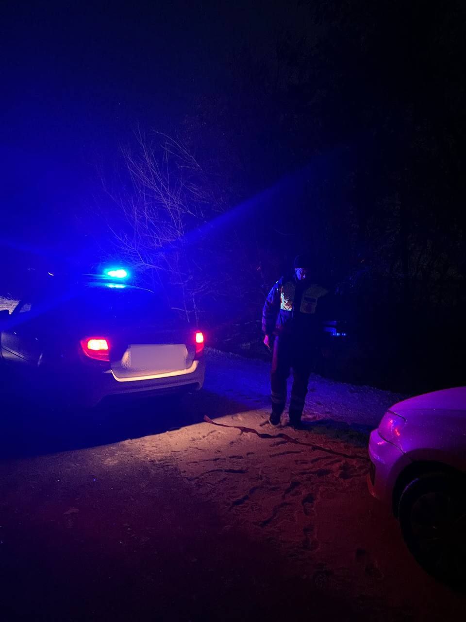 Воронежские полицейские помогли водителю встретить Новый год в тепле Воронежские полицейские помогли водителю встретить Новый год в тепле