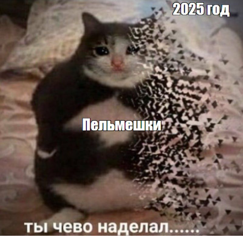 �������� ��������-�������� �� ����������� �� 2025 ���