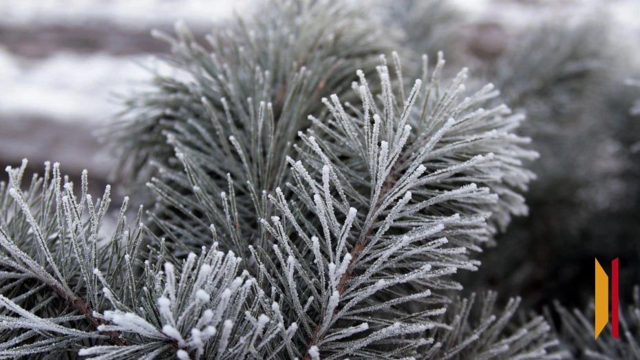 �������� ������ ������������ � ��������