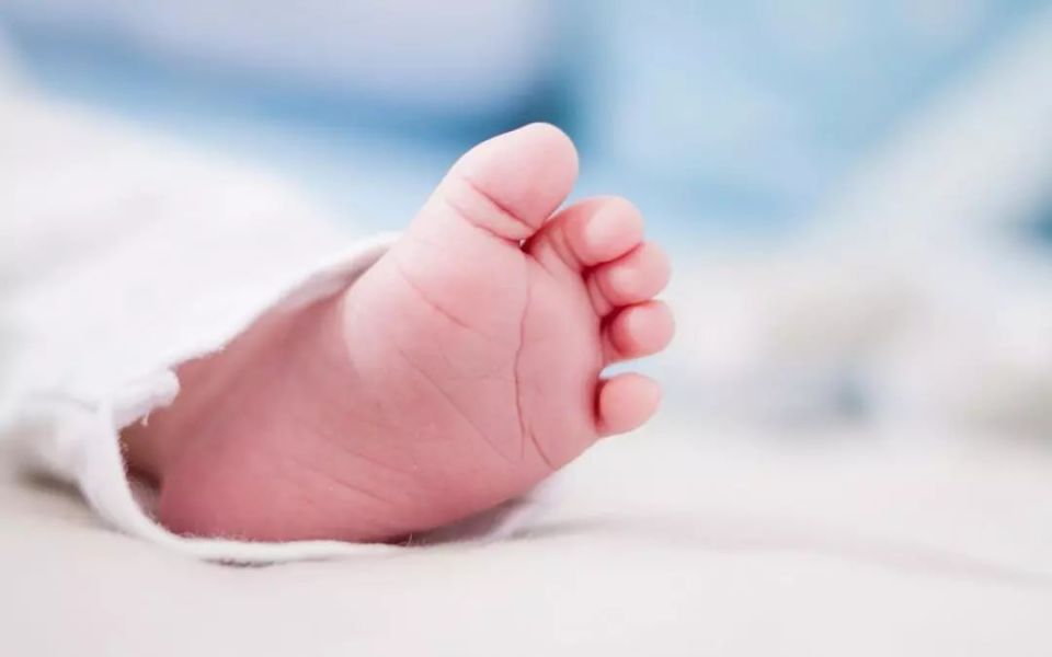 � �������� �� ���������� ��������� �� ���� �������� 261 �����