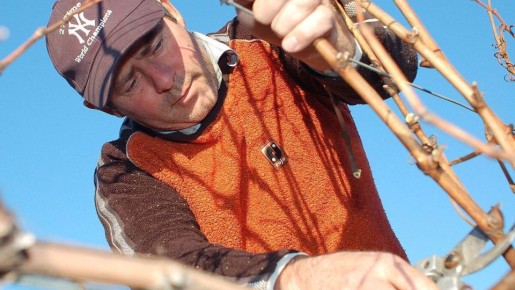 ����� ������ �������� ��������: ������ ��� ��������� ������