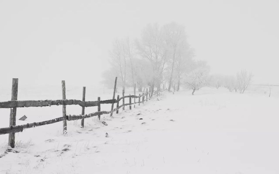 � ����������� ������� ������ ������ � 2026 ���� ������ ���������