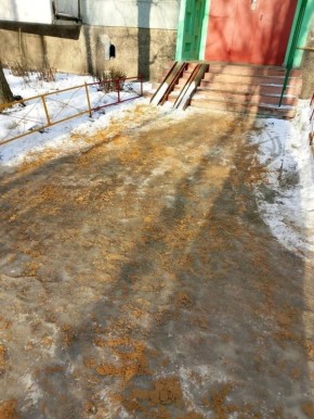 Александр Гусев: Чистые от наледи и снега дворы – это не вопрос каприза погоды или должностных лиц