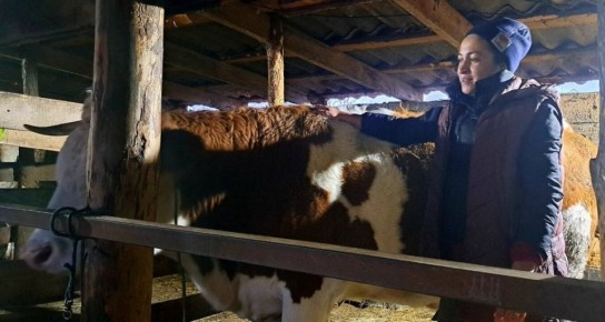 Жители Воронежской области заключили 3539 соцконтрактов за 2025 год