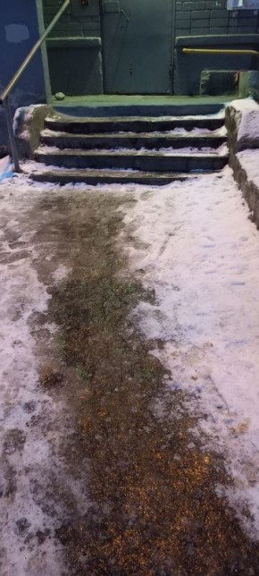 ��� ��� �������� ���������� ������ ����� �������� �� ����� ����-���������