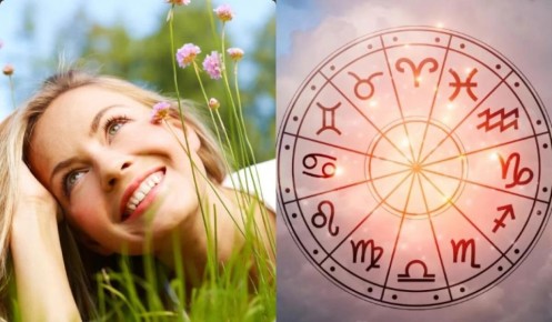 ������� ������ � �����: ����� ����� ������� ���� ������� � ���� 2026 ����