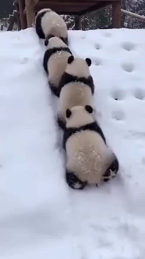 ��� �������� ������ ��������: