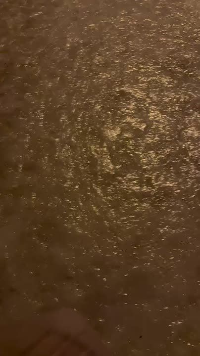 ��������� ����� ����� � ��������� ��. �. ���������. �� ���������� � �� �������