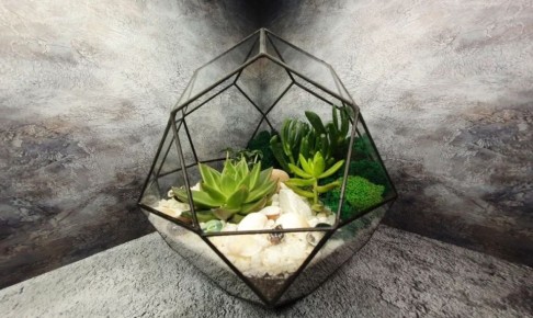 �������� ���������� ���������: ������� � 15 ������ �������� ��� ������ �������� ������