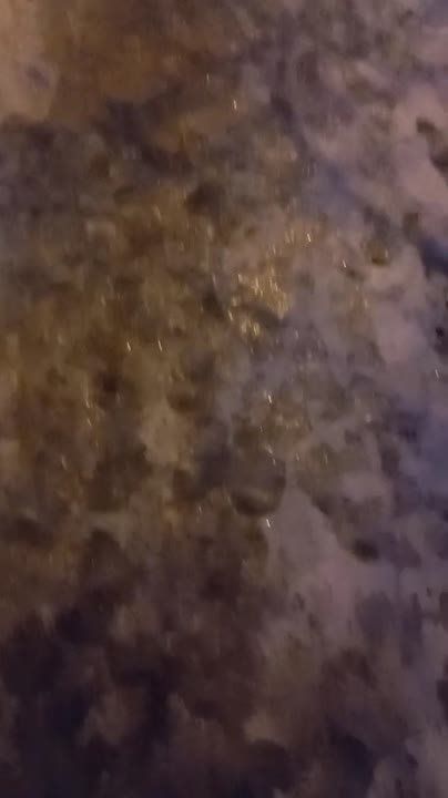 ��������� ���� ������ �������� ������� ����� �� ������