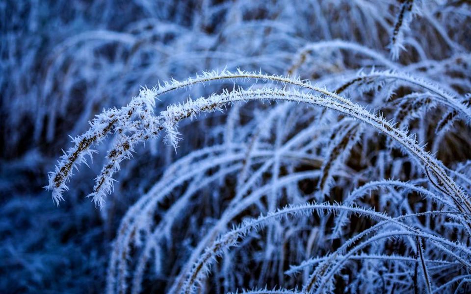 В Воронеже в праздничный день Крещения Господня будет очень холодно