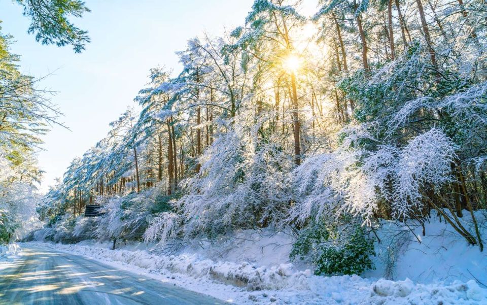 Оранжевый уровень погодной опасности из-за аномальных морозов ввели в Воронежской области