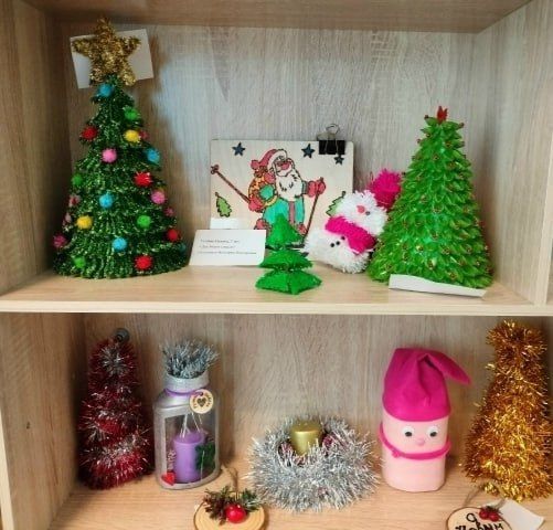 Юннатские новости Воронежа