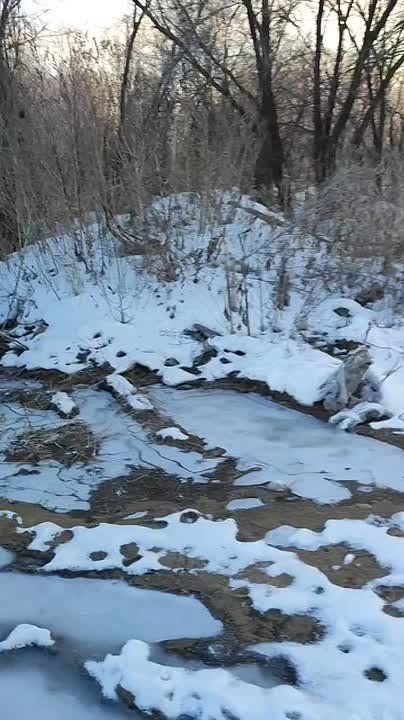 �������� ���� �� ���������� ������ ���������� � ��������