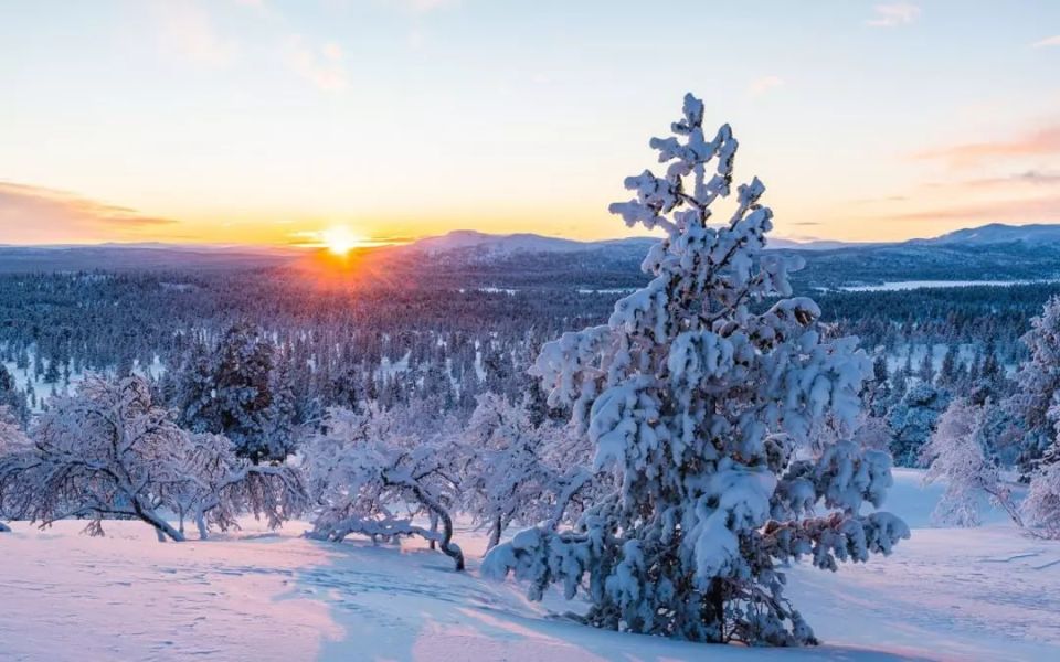 ��� ����� �� ����� �������� ��������� ������� �������� ��������� ��-�� ������� � ����������� �������