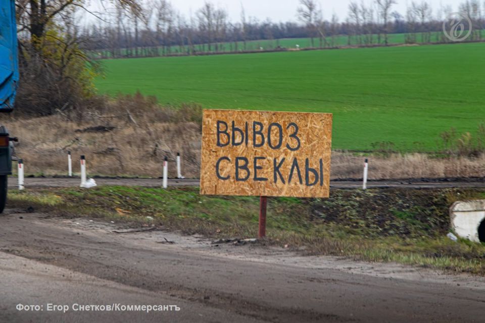 Воронежский НИИ сахарной свеклы урегулирует спор на 224 млн с «Щелково агрохимом»