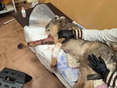 �� ��������� �������� �����. ��������� ����� � ���������: ���������� ���������� �������� ����� �� �����