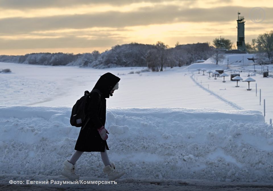 Шестиклассница пришла с ножом в школу в Воронеже