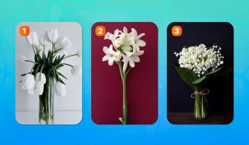 ��������������� ����: ����������� ��� ����������?