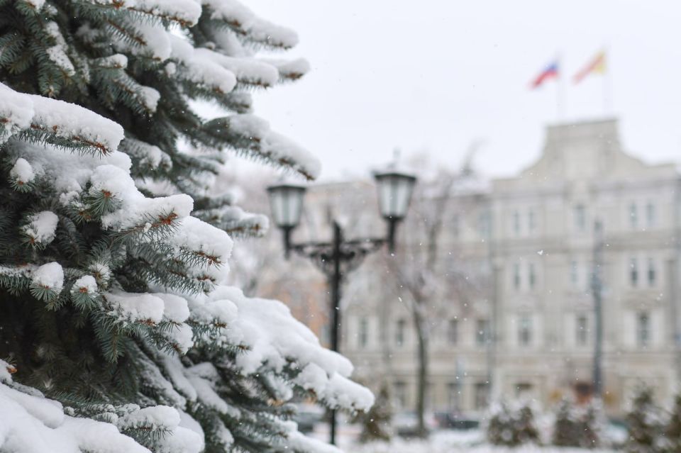 Объявлен конкурс на соискание премии главы городского округа город Воронеж в области охраны окружающей среды в 2026 году