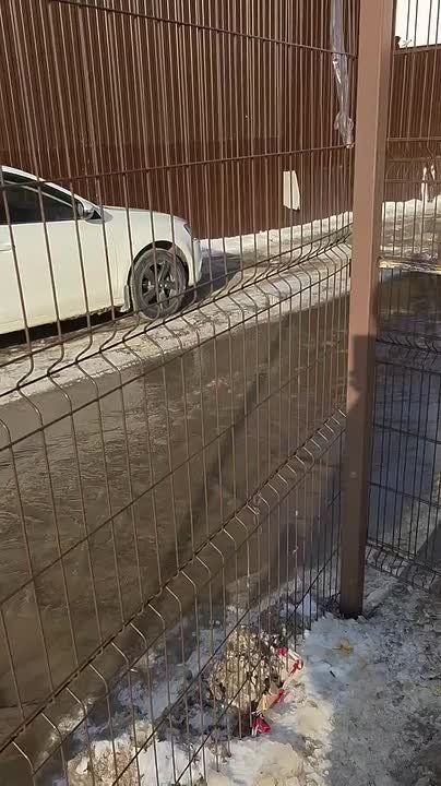 ��-�� ������ ��������� ���� �� ���� ������ � ��������