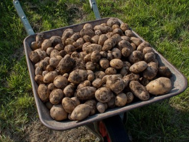 ��� ������� �������� �������� ������ �� ����: ������� ��������� ������