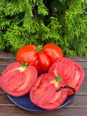 ��������� ����� � ������������ ����: ����������� � ������� ����