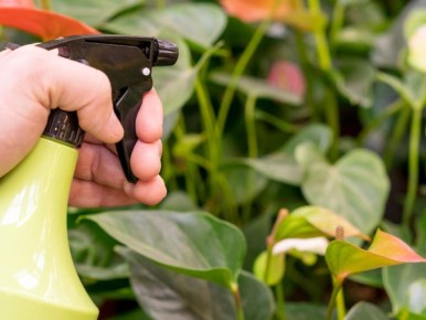 ������� ��������� ����� �� ���������� ����������