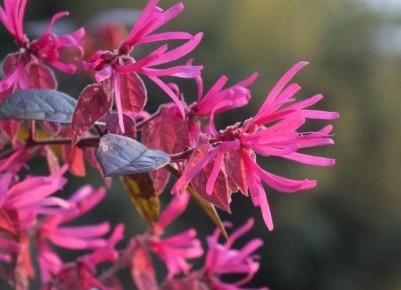 �����������: �������, ������� ����� �������� � ������ ���