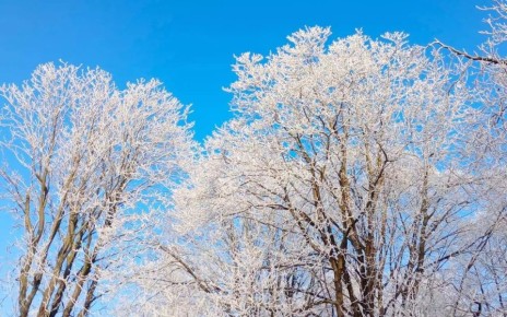 В Воронежской области в ночь на Крещение Господне будет очень холодно