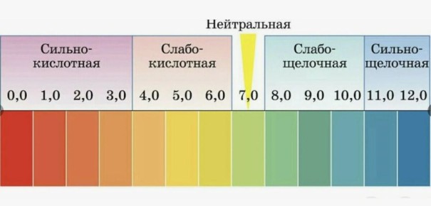 ��� ���������� ����������� ����� � ������� ����������� �������� ��� �����������