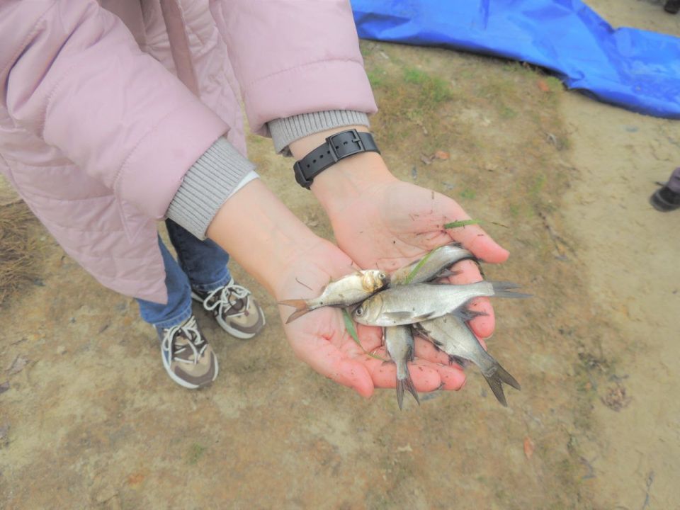 ������� ������! ����������� ��� ��� ��������� �������� ����� ������ � ���������� �������, ����������� � ������ ���������� ����������� ������� � 2025 ����