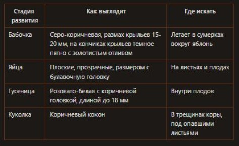 ��� �������� ���� ��� �� �������� ����������: ������� � ����������� ������