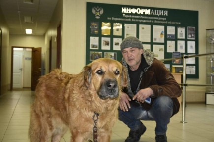 � 2025 ���� 295 �������� �������� �� ����������� ������� ����������� �� ������� �� ������ ���������