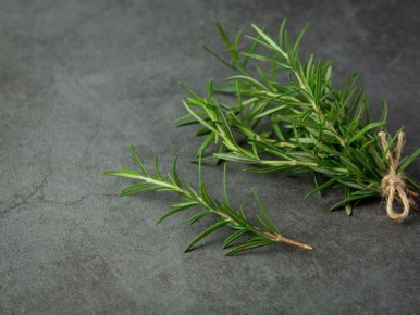 �������� � ����� ����: ��� ��� �������� ����� �������� ���� �����