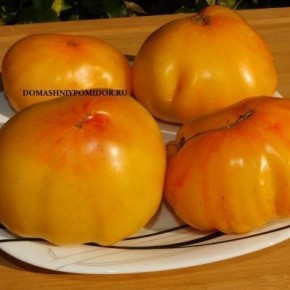 ����� ��������: ��� �������� ��������� ������ � �����