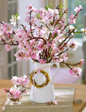 �������� �����������: ����� ������� � ���������� ����� �������� ��� ���