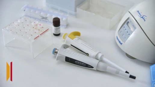 ��������� ����� ����� ������ �� ����� ��������� �������� �� ���