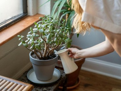 ��� ������ ���������� �������� ������: ������ ��� ����������