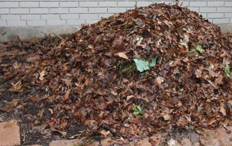 ������ �����: ������� ������������� ������ ��� ������ ����