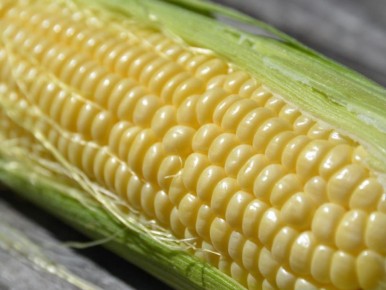 ��� ��������� ��������, ������� ������ ������� � ������� ������� � �����