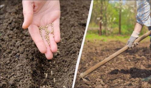 ��� ����� �������� ��� ����, ����� �������: 10 ������ ��������� ��� �������