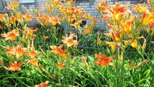 ���������� ���� ������: ��� ������� ��������� �������� ����� ������