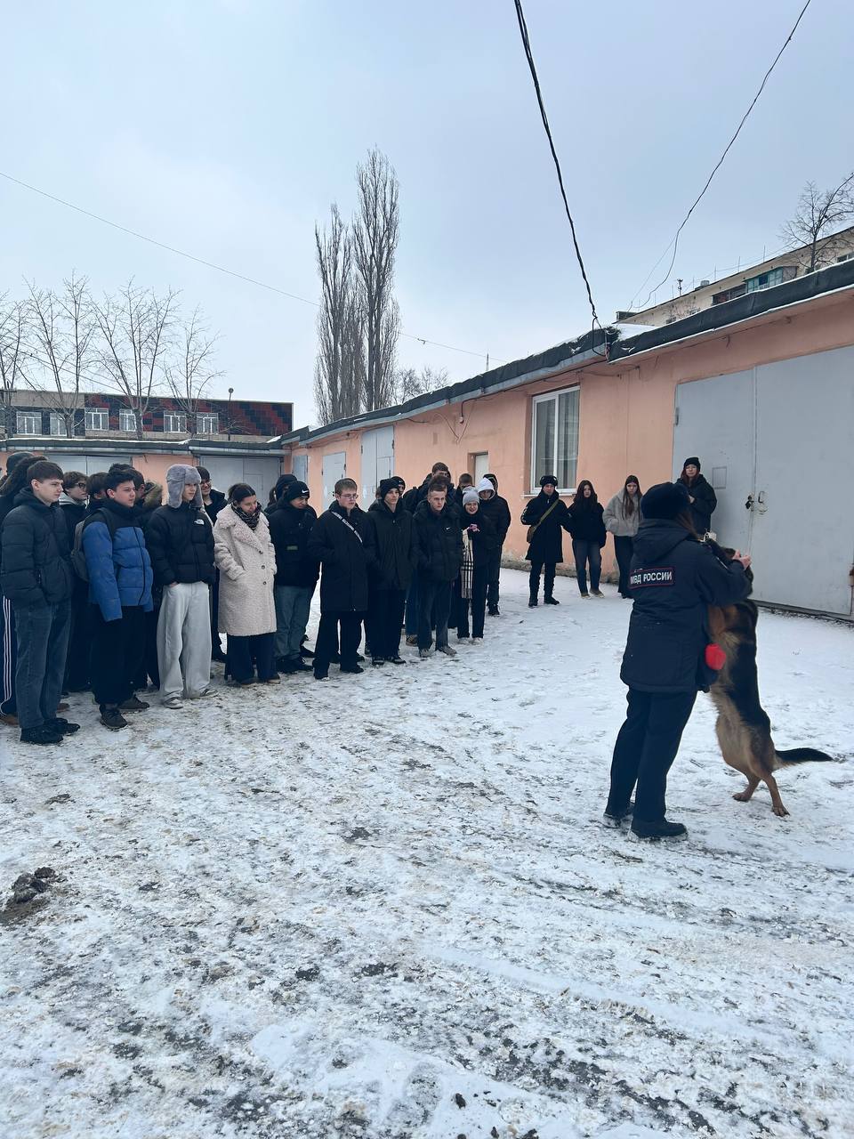 Студенты Нововоронежа познакомились с работой полиции Студенты Нововоронежа познакомились с работой полиции