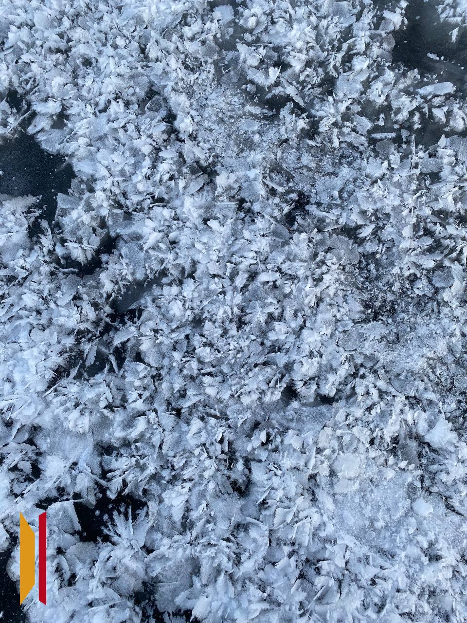 На льду Воронежского водохранилища и реки Усманка «распустились» инеевые цветы На льду Воронежского водохранилища и реки Усманка «распустились» инеевые цветы