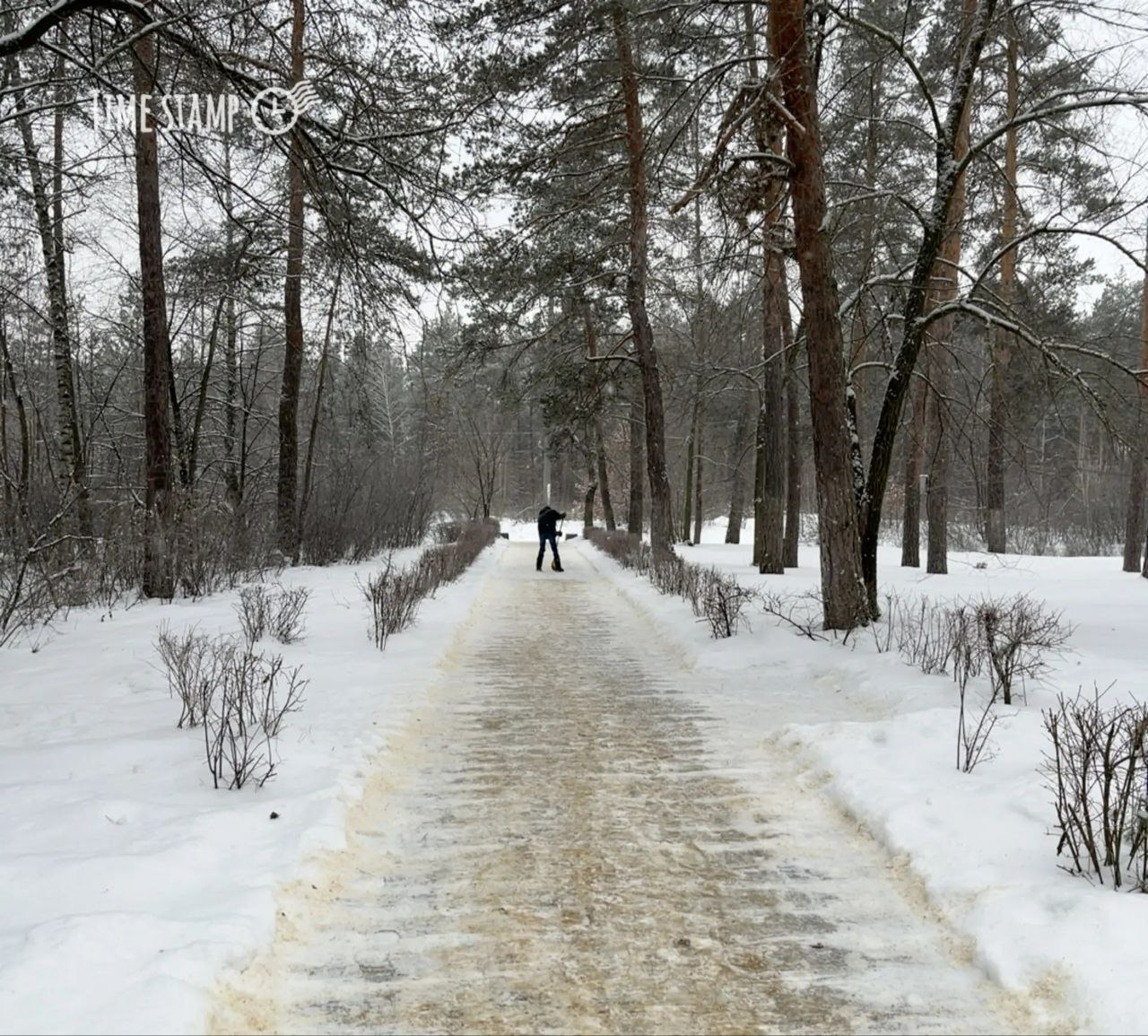 Честно и с душой в условиях многозадачности продолжает свою работу комбинат благоустройства Советского района Честно и с душой в условиях многозадачности продолжает свою работу комбинат благоустройства Советского района