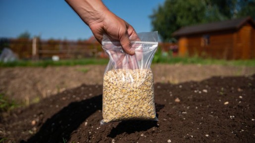 ��� ������� ������ ��� ������� ������� ��� ������