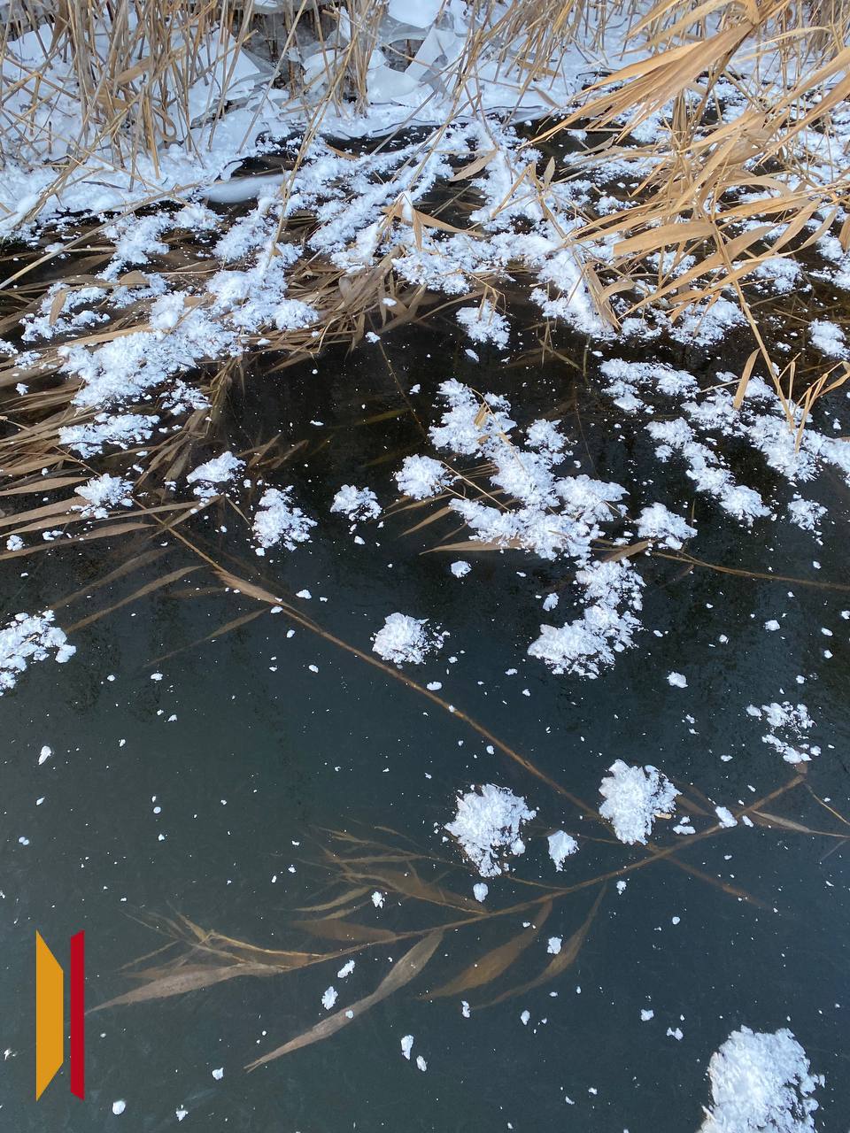 На льду Воронежского водохранилища и реки Усманка «распустились» инеевые цветы На льду Воронежского водохранилища и реки Усманка «распустились» инеевые цветы