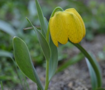 �������: ������������ ��� �������� ���������, ������ �� ����� � ������� ������� �������